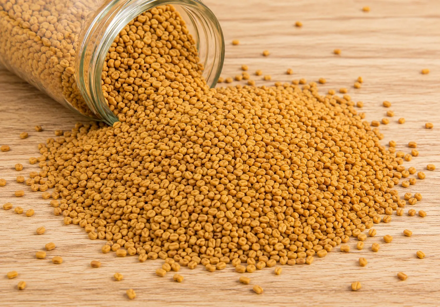 Fenugreek Seed